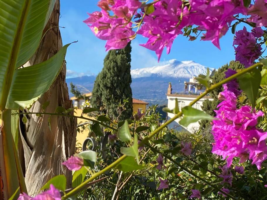 Atelier Taormina Spacious Guesthouse With Pool Luaran gambar